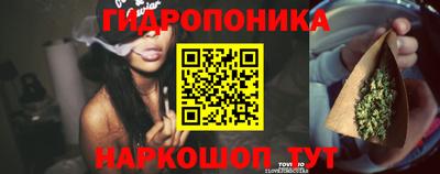 гидропоника Азнакаево