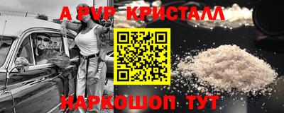 стаф Абакан
