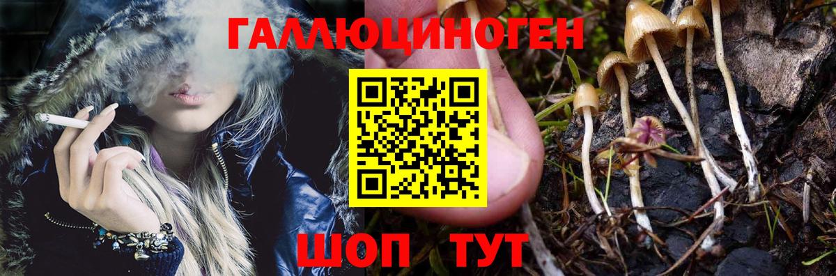 Галлюциногенные грибы GOLDEN TEACHER  Галлюциногенные грибы мухоморы  Вход с VPN  Алатырь 